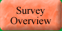 Survey Overview